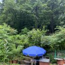지장산큰골계곡민박
