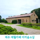 숲카페 - 수성구 | 제주 애월 이끼숲소길 아이와 가볼 만한 숲속카페 후기
