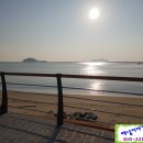 오리정민박 이미지