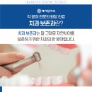 이영석치과의원 네이버블로그