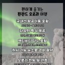 오로라마켓 이미지