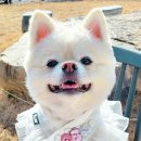 마무아뜰리에