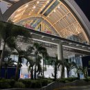 부산METRO약국 | 세부 3박 6일 자유여행 일정공유(feat.캐녀닝, 호핑, 맛집)