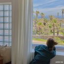 삼일삼오 이미지