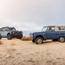 태평양카독크 이미지