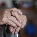 성심원 | 부여 요양원ㅣ 부여성심원 충청남도 요양원 다녀왔는데 와.. 이게 다르네