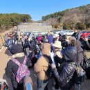 가덕도 동백군락지 이미지