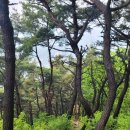 대덕구노인종합복지회관 | [명산100+] 계족산 최단거리
