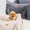 하리애견 이미지