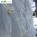 수성다듬이 이미지