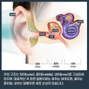 다비치히어링보청기 부산사직삼거리점 네이버블로그