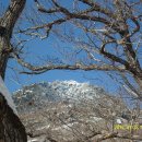 지리산친구들 이미지