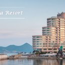 금호리조트(주)통영마리나 이미지