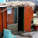 춘자싸롱 이미지