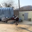 용천농장 이미지