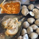 불타는조개 이미지