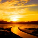 순천만습지 이미지