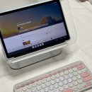 (주)한영로지텍 | 블루투스 키보드 로지텍 K380S 내돈내산, 한영 변환 방법 (+ 키스킨)