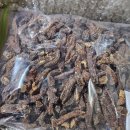 이슬(노복선)님 4증4포 둥굴레차 왔어욤 이미지