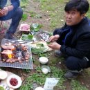 평창산야초