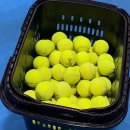 금산군실내테니스장 | [운동모음] 테니스/ PT/ 필라테스/ 런데이/ 줌바댄스/ 실내바이크