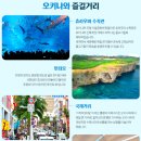 오키오키