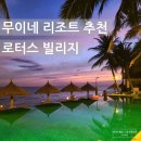 로터스(LOTUS) | 무이네 바다앞수영장 리조트 로터스빌리지 Lotus Village 수영장후기