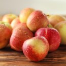 영월요양병원 이미지