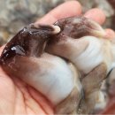 주식회사 남도수산