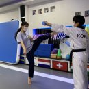 휘트니스 태권도장 이미지