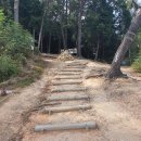팔용동서식품 | 창원 팔용산 올라 가는길 : 팔용터널 옆 팔용공원에서 출발 코스