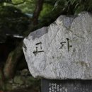 유방6통 Daum카페