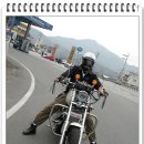 현상수배 Daum카페