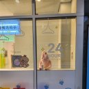 동네마실 빨래방 이미지