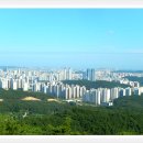 입화산참살이숲 이미지