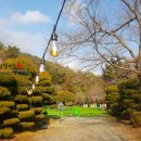 양산신-1008 | 자연속 멋진 카페 25 디셈브리스 양산법기수원지 가는길 부산인근 양산카페