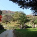 외길목장 이미지