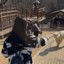 호석농장 이미지