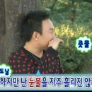 호텔 오 네이버블로그