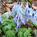 금샘초등학교 이미지