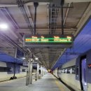 장금이 사랑채 | 청와대 관람 후기 및 예약방법 (ft. 서울여행 1탄)