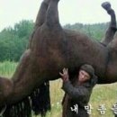 용담댐소수력발전소 이미지