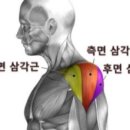 휘트니스6.3