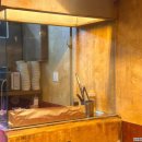 봉곡동288 | 목살이 맛있는 창원 봉곡동 맛집, 대세박목살 봉곡점