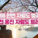 인천농업협동조합 자월지점 이미지