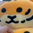 연세바로세움치과의원 이미지