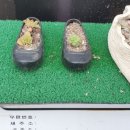 중앙카센터 이미지