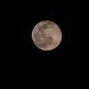 관리낚시터 이미지