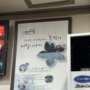 발아메밀막국수