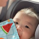 가온재독채풀빌라 | 여행] 5개월 아기랑 떠나는 강화도 풀빌라 대가족 여행 ‘가온재독채풀빌라’ + 조양방직 카페 키즈케어존